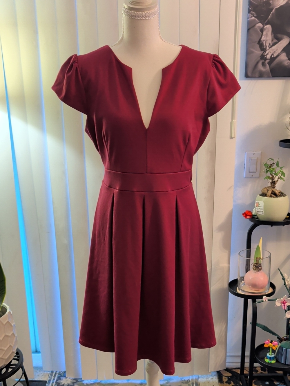 Women's Burgundy V-Neck Fit & Flare Dress